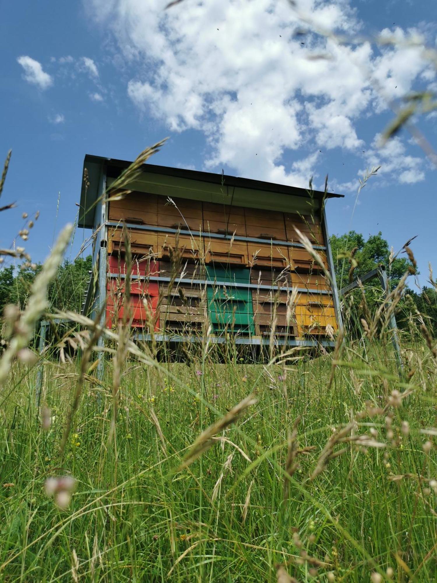 Farm Stay Pri Cepcovih Golac Exterior photo